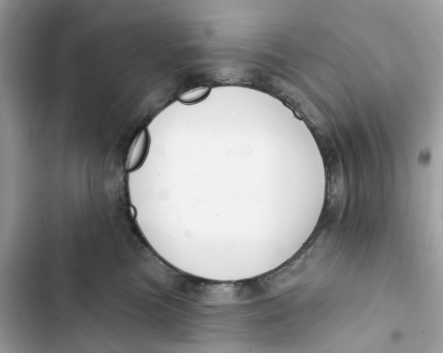 X0000103280473200809191810