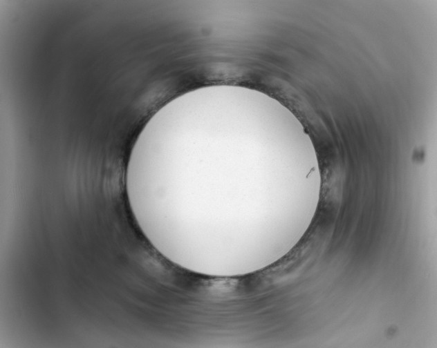 X0000103280474200809191810