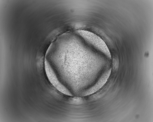 X0000103280475200809191810