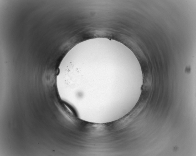 X0000103280478200809191810