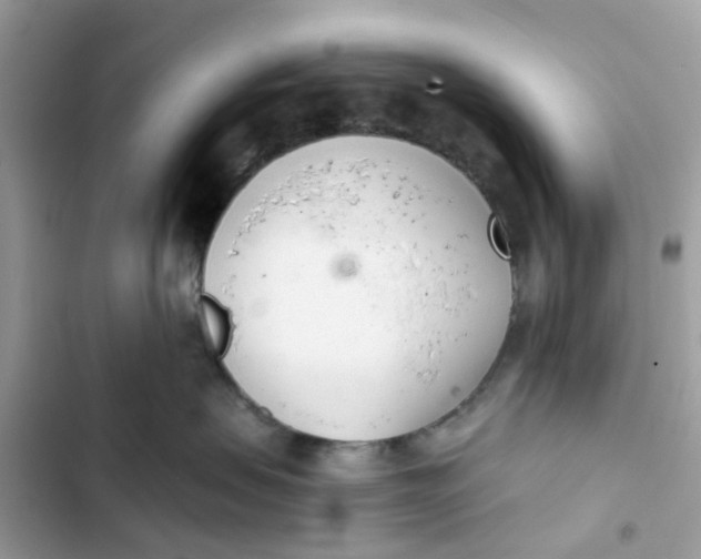 X0000103280479200809191810