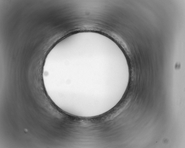 X0000103280481200809191810