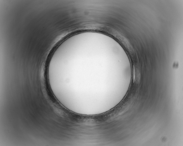 X0000103280483200809191810