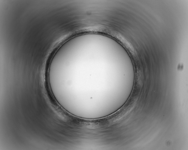 X0000103280486200809191810