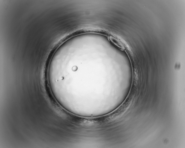 X0000103280487200809191810