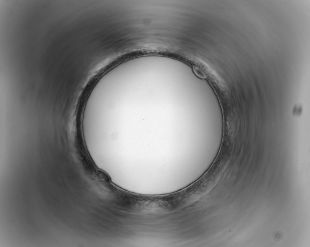 X0000103280488200809191810