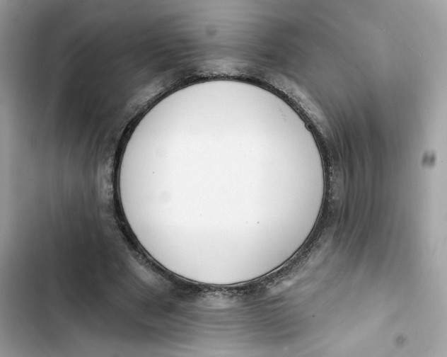 X0000103280489200809191810