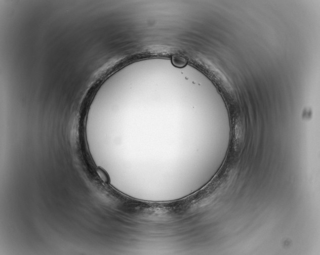 X0000103280492200809191810