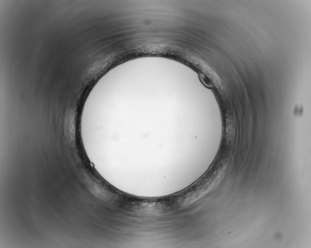 X0000103280493200809191809