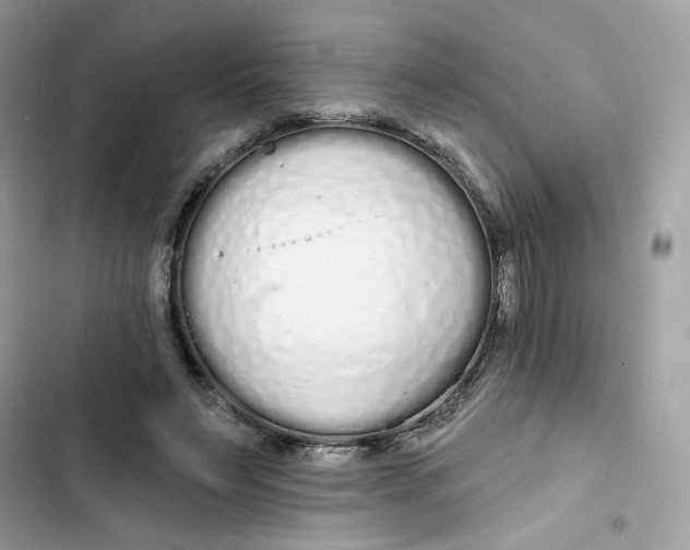 X0000103280495200809191809