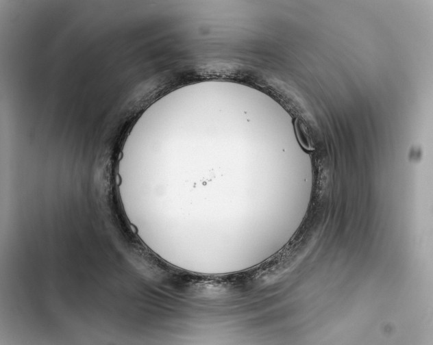 X0000103280498200809191809