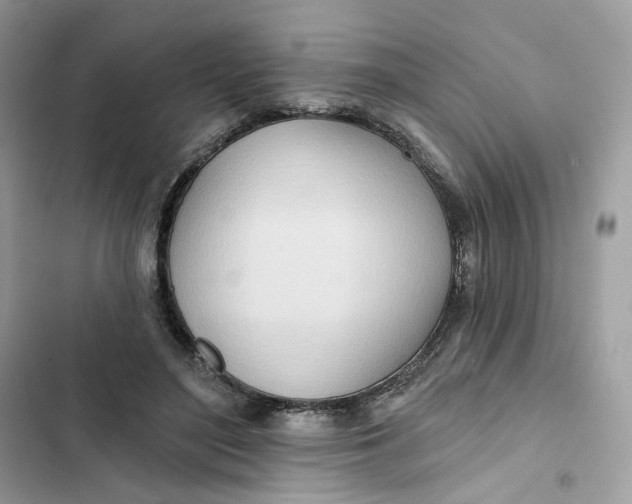 X0000103280500200809191809