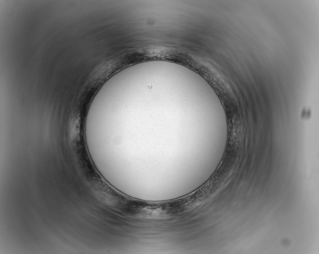 X0000103280502200809191809