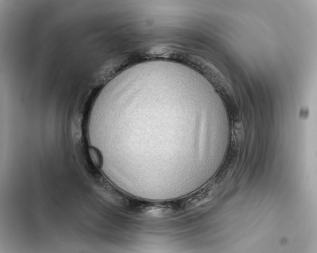 X0000103280504200809191809