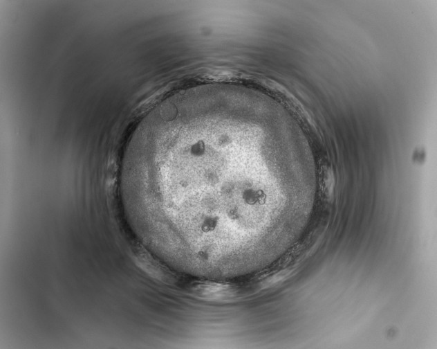 X0000103280507200809191809