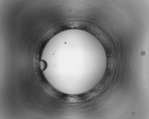 X0000103280510200809191809