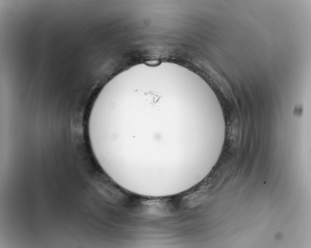 X0000103280516200809191809