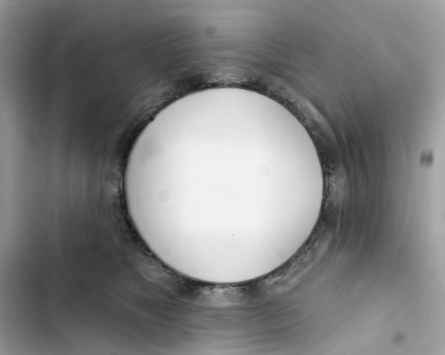 X0000103280517200809191809