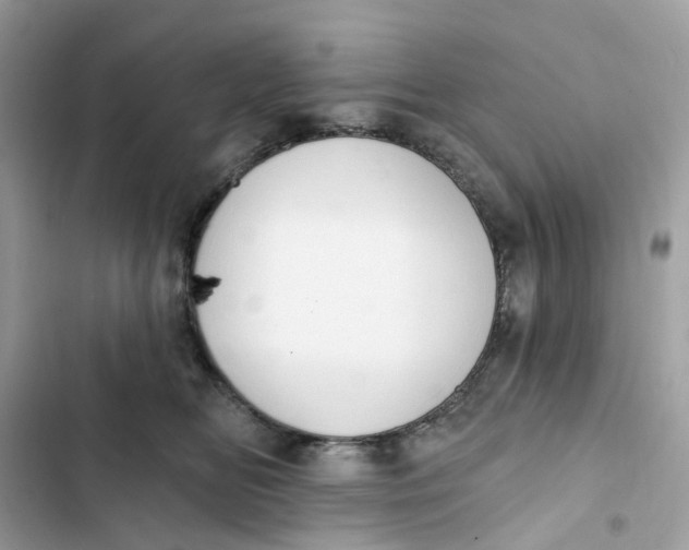 X0000103280518200809191809