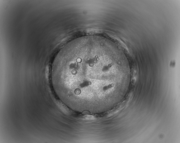 X0000103280519200809191809