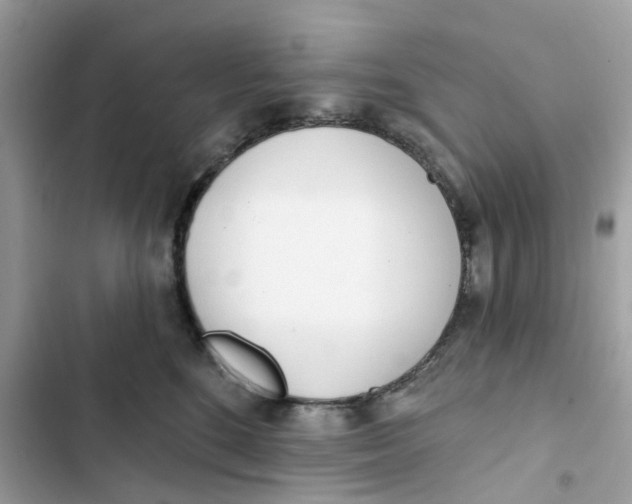 X0000103280520200809191809