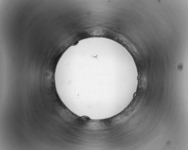 X0000103280521200809191809