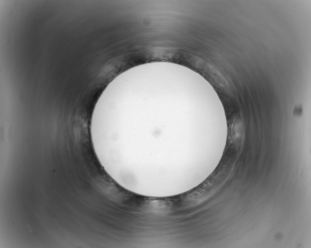 X0000103280522200809191809