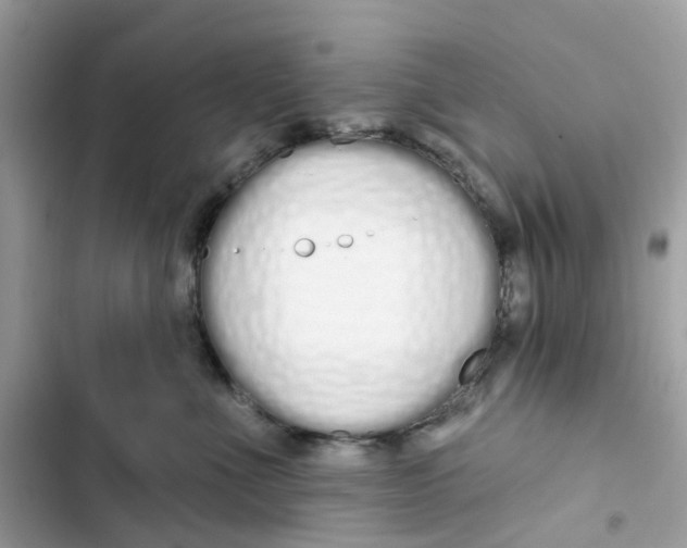 X0000103280523200809191809