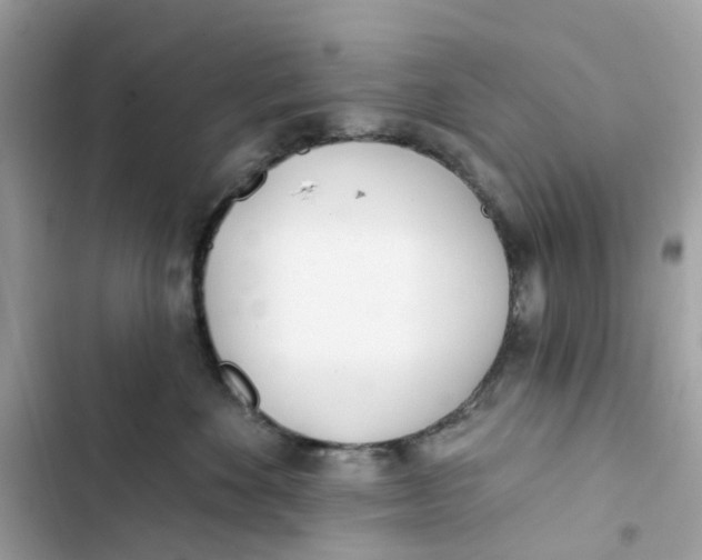 X0000103280524200809191809