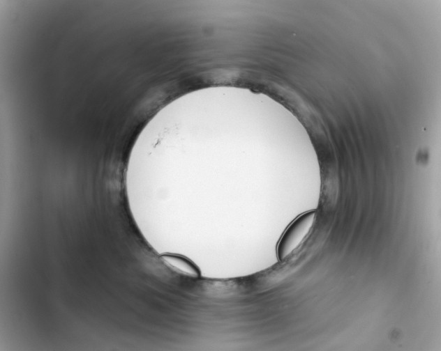 X0000103280525200809191809