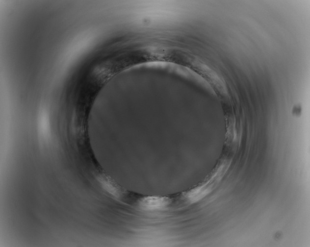 X0000103280526200809191809