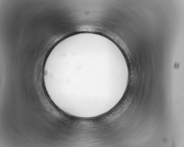 X0000103280529200809191808