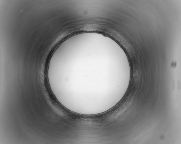 X0000103280530200809191808