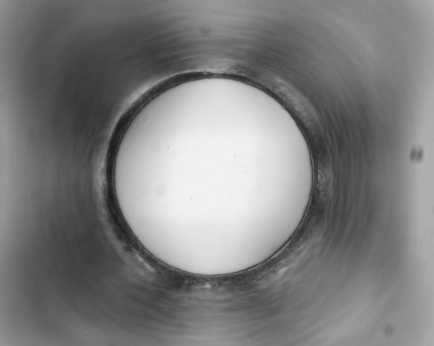 X0000103280532200809191808