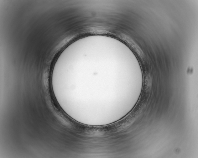 X0000103280533200809191808