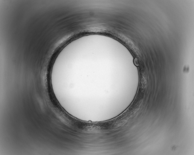 X0000103280535200809191808