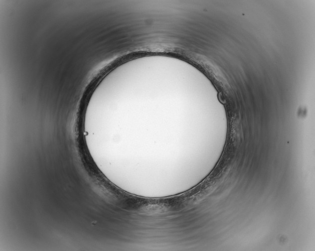 X0000103280536200809191808