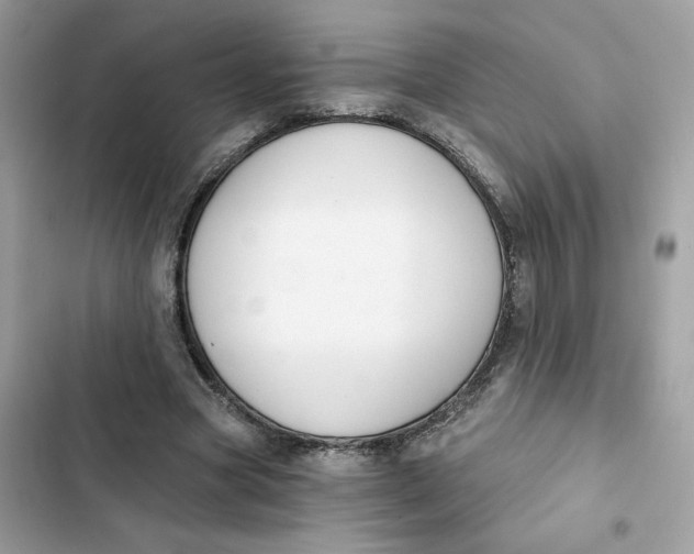 X0000103280537200809191808