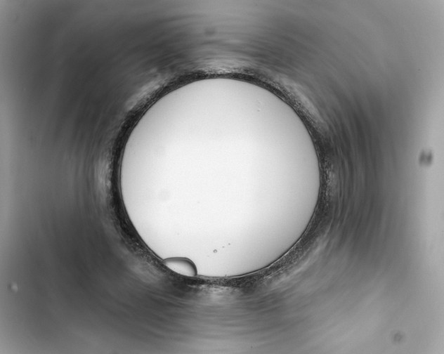 X0000103280539200809191808