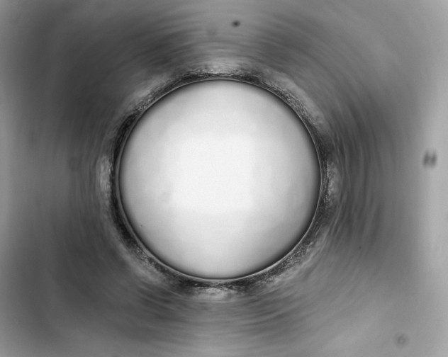 X0000103280542200809191808