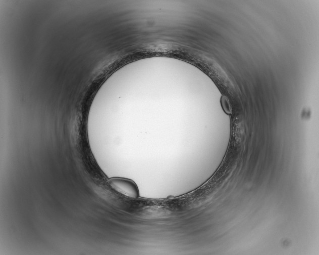 X0000103280544200809191808