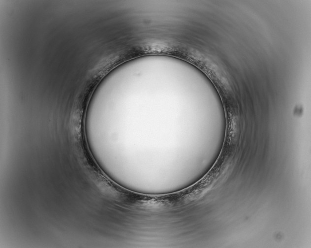 X0000103280545200809191808