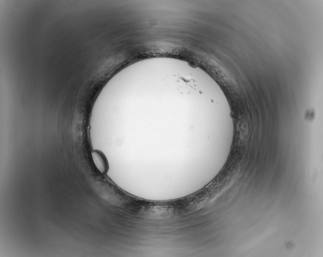 X0000103280546200809191808