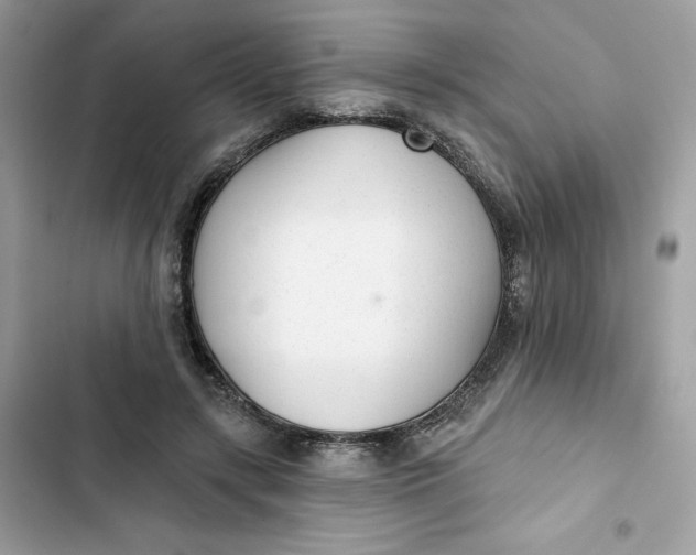 X0000103280547200809191808