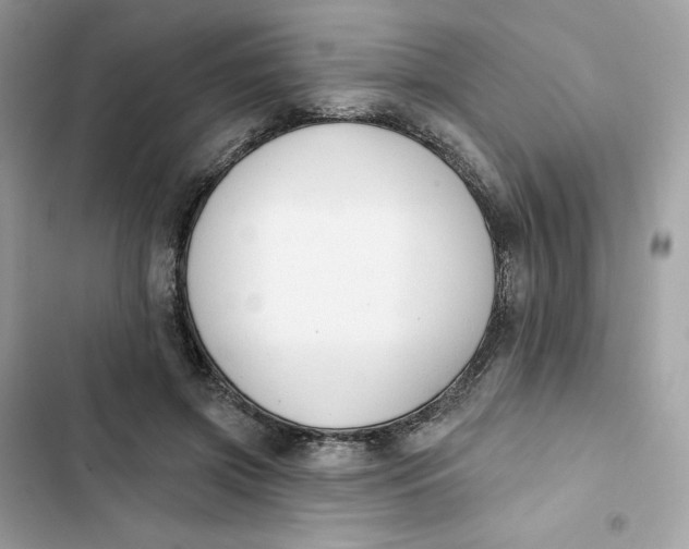 X0000103280549200809191808