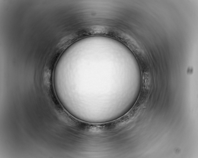 X0000103280550200809191808