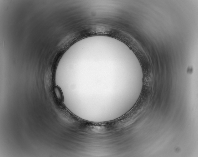 X0000103280552200809191809