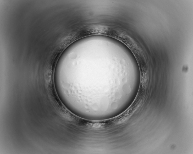 X0000103280553200809191809