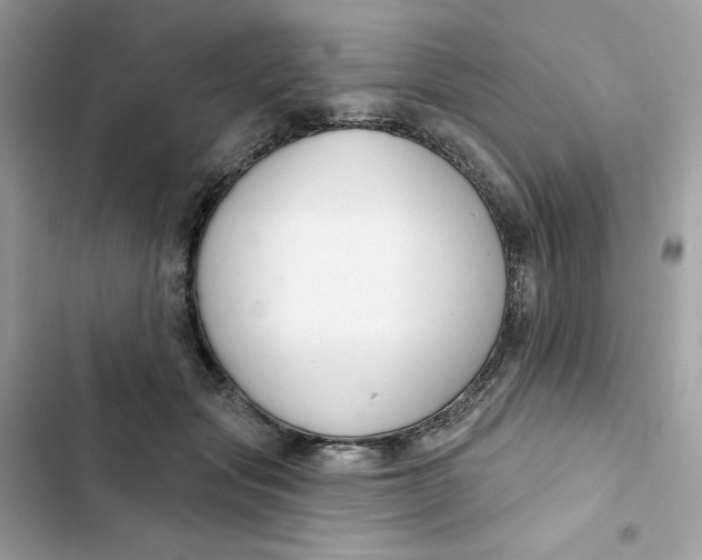 X0000103280557200809191809