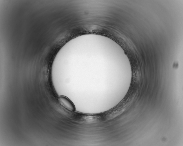 X0000103280558200809191809